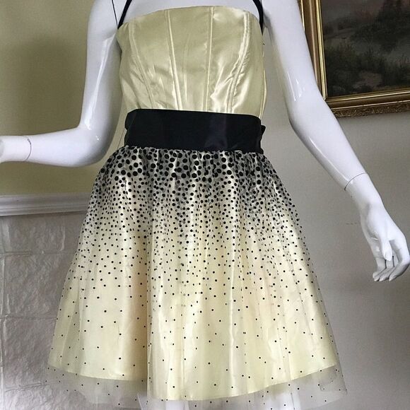 Jessica McClintock Pretty Vintage Party / Prom Dress - Picture 2 of 6